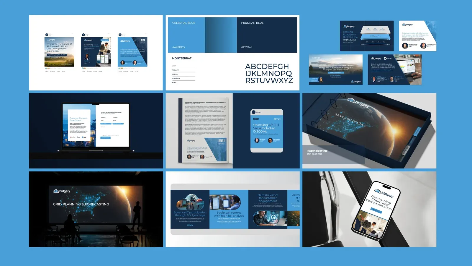 Bidgely marketing collateral and brand system